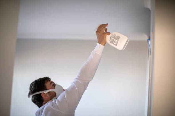 Best Local Mold Removal Service  in Mountain Top, PA