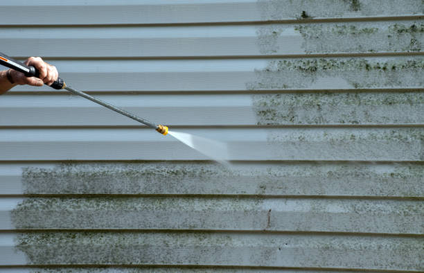 Best Certified Mold Removal  in Mountain Top, PA