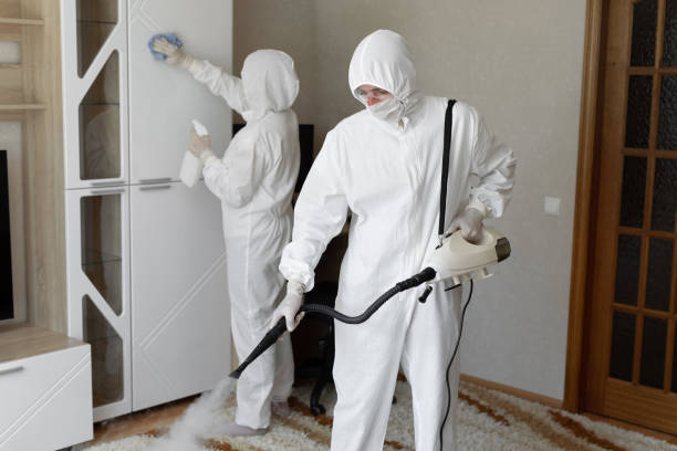 Best Mold Removal Process  in Mountain Top, PA