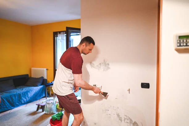 Best Mold Removal Near Me  in Mountain Top, PA
